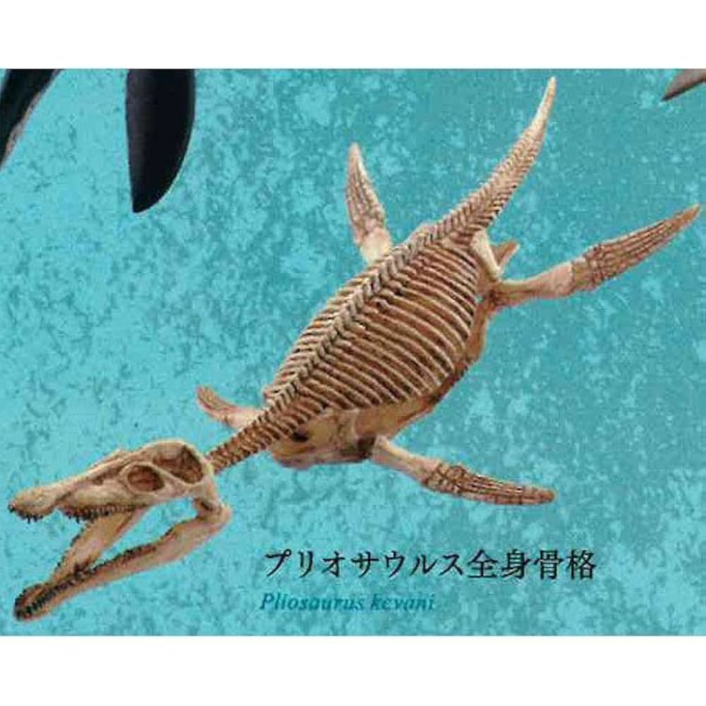 Amazon | カプセルQミュージアム 恐竜発掘記プレシオサウルス